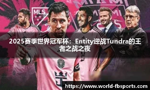 FB体育官方平台平台